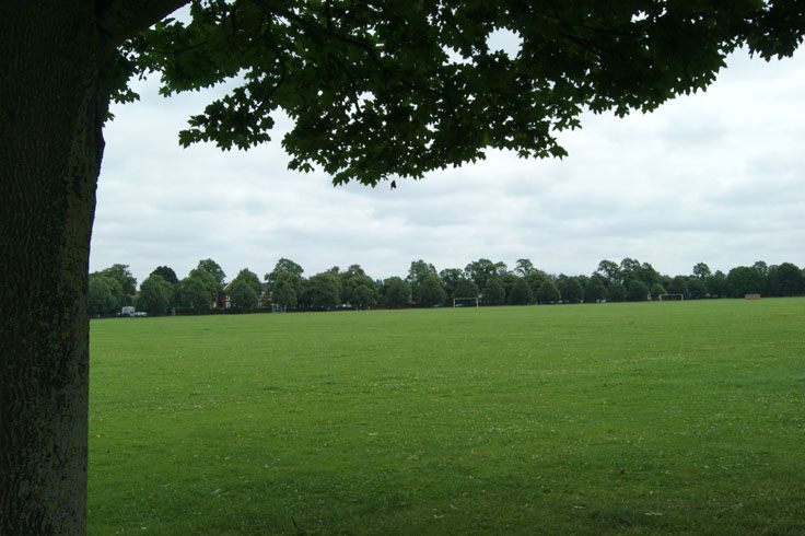 A large field with two football posts and a row of trees in the distance.